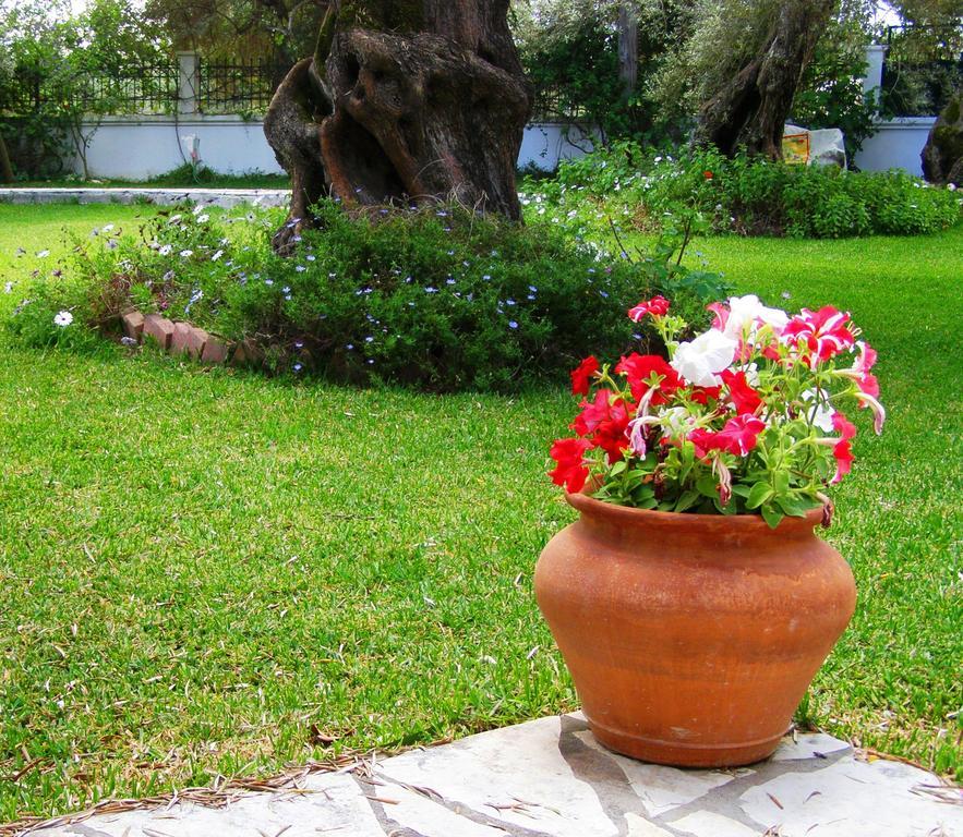 Hector Lefkada City