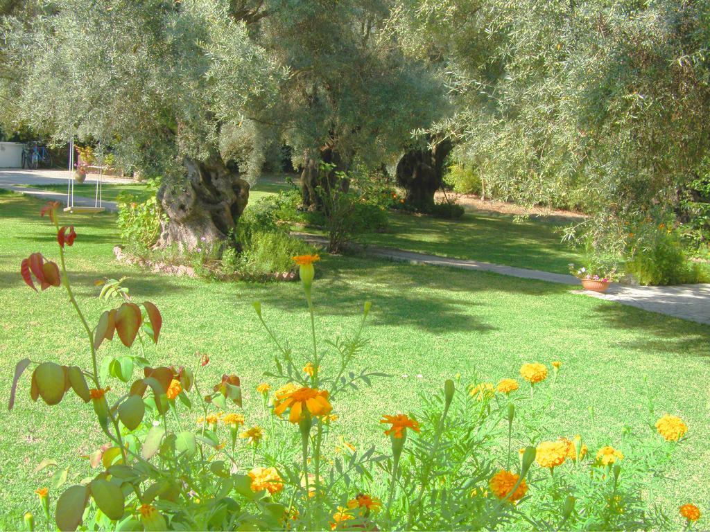 Hector Lefkada City