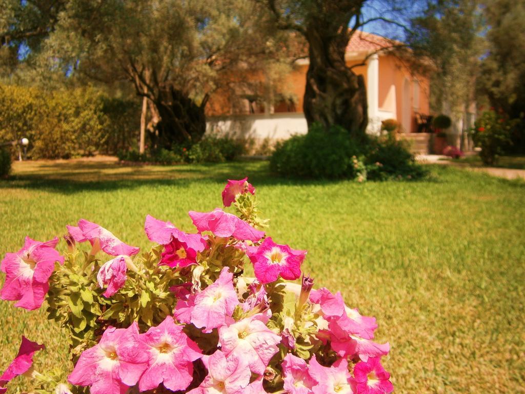 Holiday home Hector Lefkada City