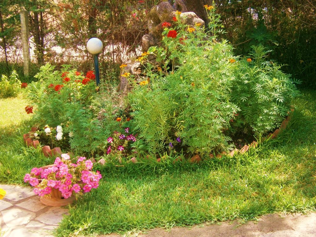 Holiday home Hector Lefkada City
