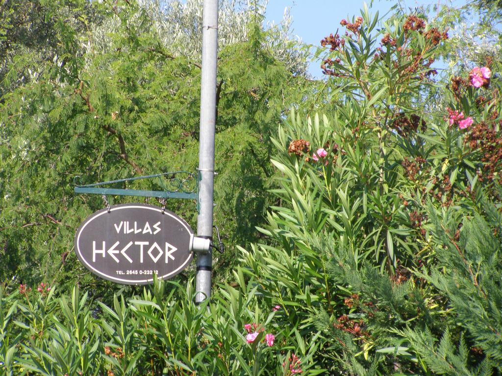 Hector Vakantiehuis